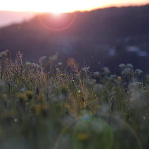 鲁大师免费日韩
