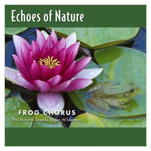 鲁大师免费日韩
